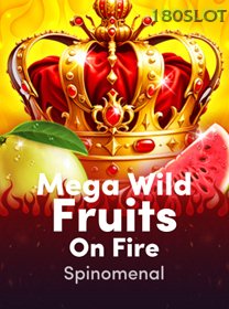 Mega Wild Fruits   On Fire icon
