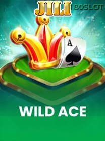 Wild Ace banner